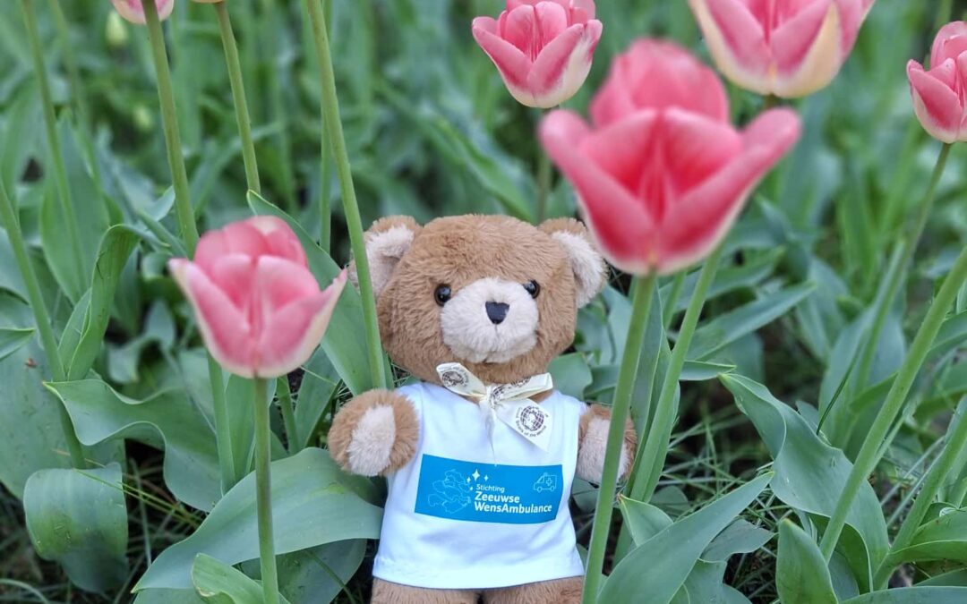 naar de Keukenhof