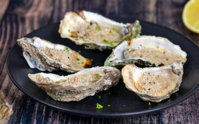 Een rondvaart met de Marstrand met YE100